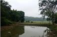 BADO Dalu